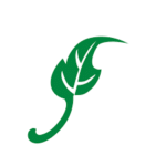 LeafFilter