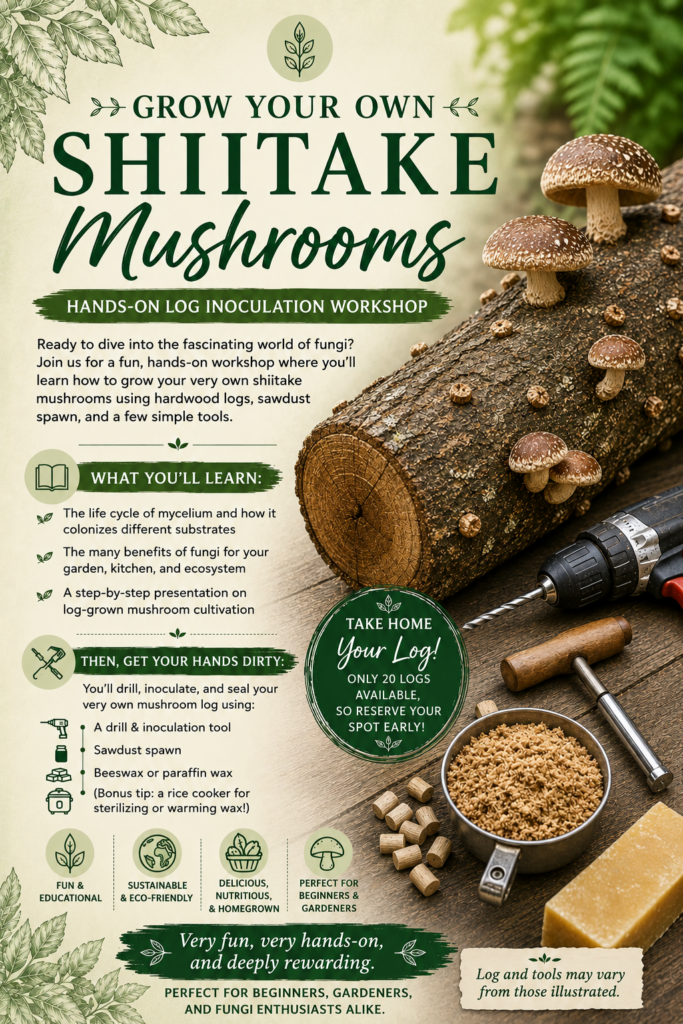 Grow Your Own Shittake Mushrooms